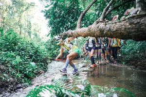 BIB: 
                            <button type="button" onclick="openModal(25467262)" class="btn btn-primary btn-sm float-right btn-popup" data-toggle="modal" data-target=".modal-high-quality">
                        <i class="fas fa-shopping-cart"></i> Add to Cart
                    </button>
                                            <button type="button" onclick="isThisMe(25467262, true)" class="btn btn-success btn-sm float-right btn-popup btn-isme hidden" data-toggle="tooltip" data-placement="bottom" title="นี่คือรูปของคุณใช่ไหม คลิกที่นี่เพื่อเอาเข้าอัลบั้ม">
                        <i class="fas fa-plus"></i> Add to album
                    </button>
                    <button type="button" onclick="isThisMe(25467262, false)" class="btn btn-warning btn-sm float-right btn-popup btn-isnotme hidden">
                        <i class="fas fa-ban"></i> Remove from album
                    </button>